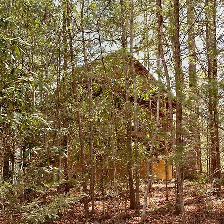 개틀린버그 Mountain Hideaway #338 빌라 외부 사진