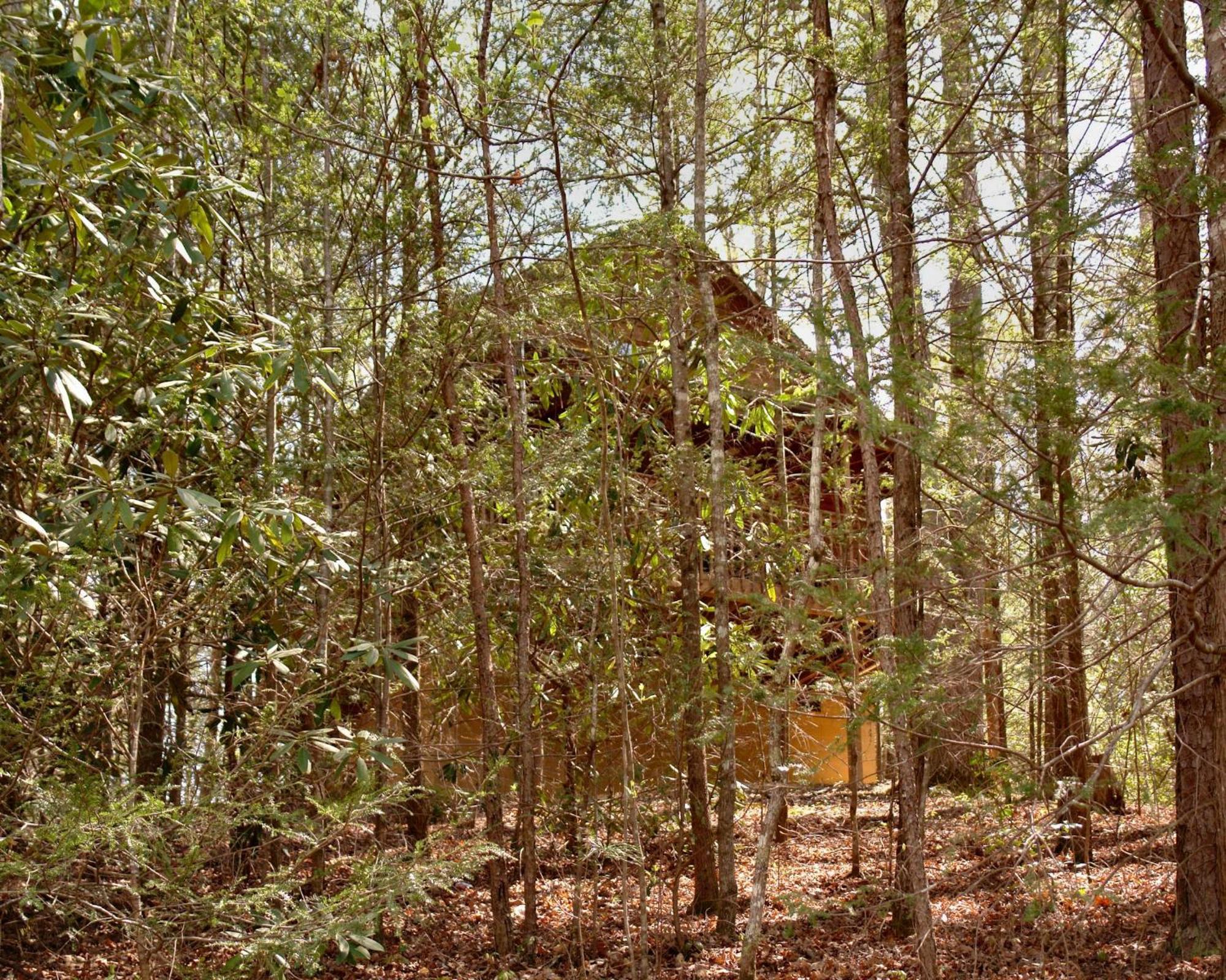 개틀린버그 Mountain Hideaway #338 빌라 외부 사진